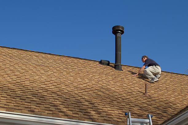 Best Roof Moss and Algae Removal  in Vermilion, OH